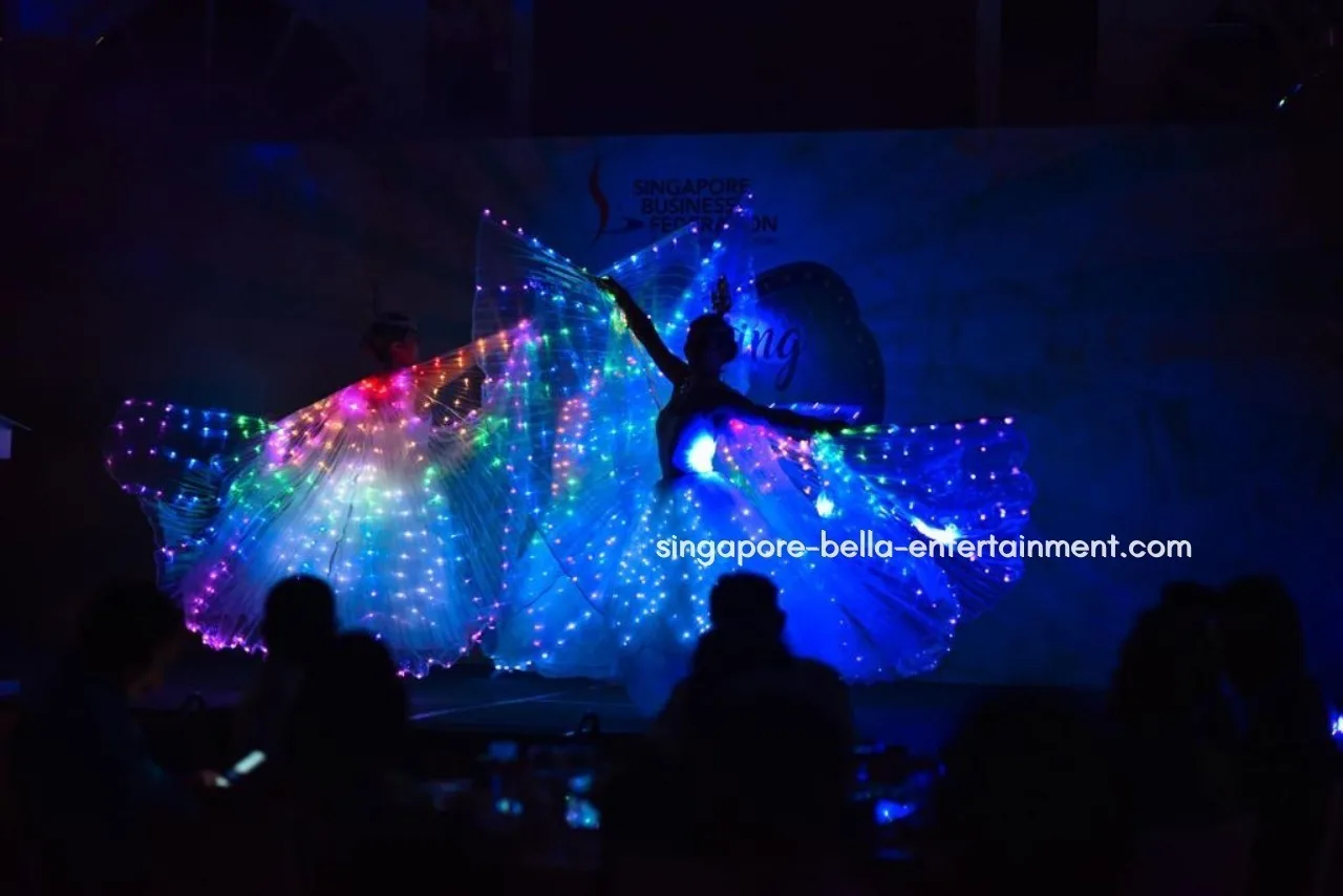 LED Wings Performance
