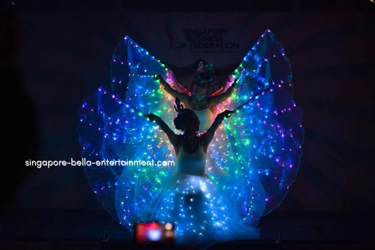 LED Wings Performance