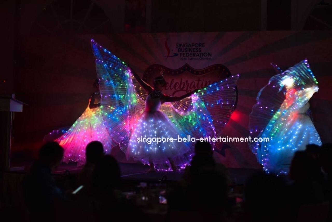 LED Wings Performance