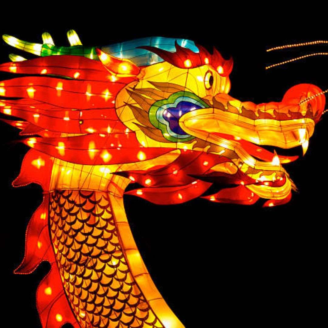 Hire LED Dragon Lion Show in Singapore | Bella Entertainment