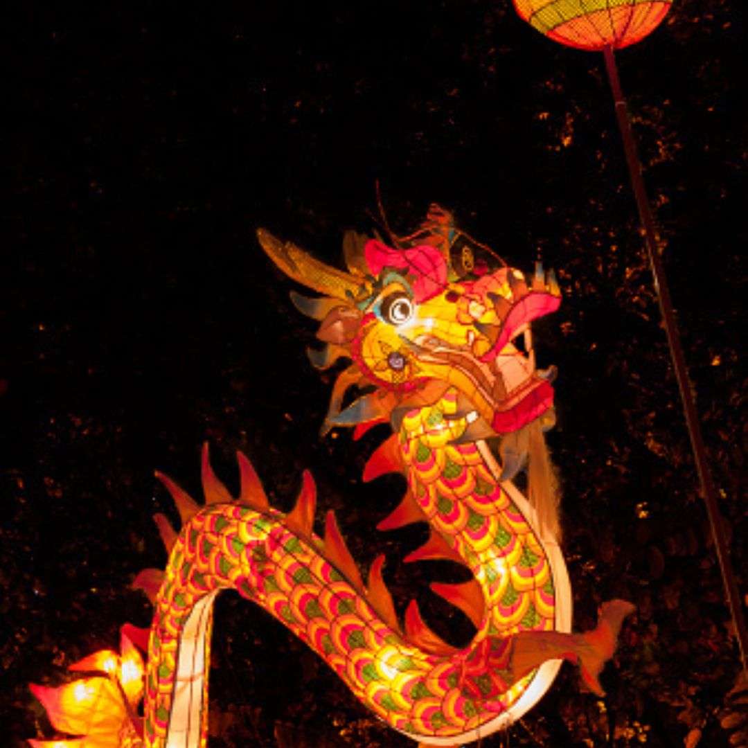 Hire Led Dragon In Singapore 