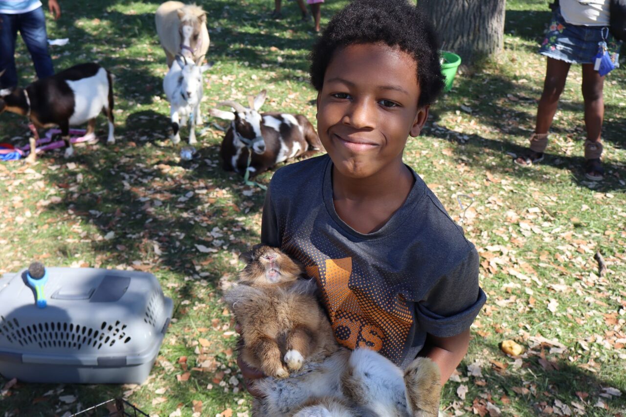 Mobile Petting Zoo for Events in Singapore