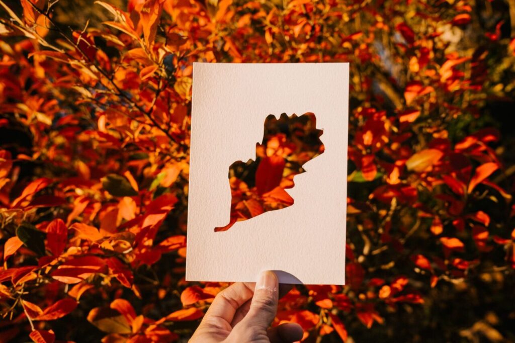 Silhouette Cutting Artist for Events in Singapore