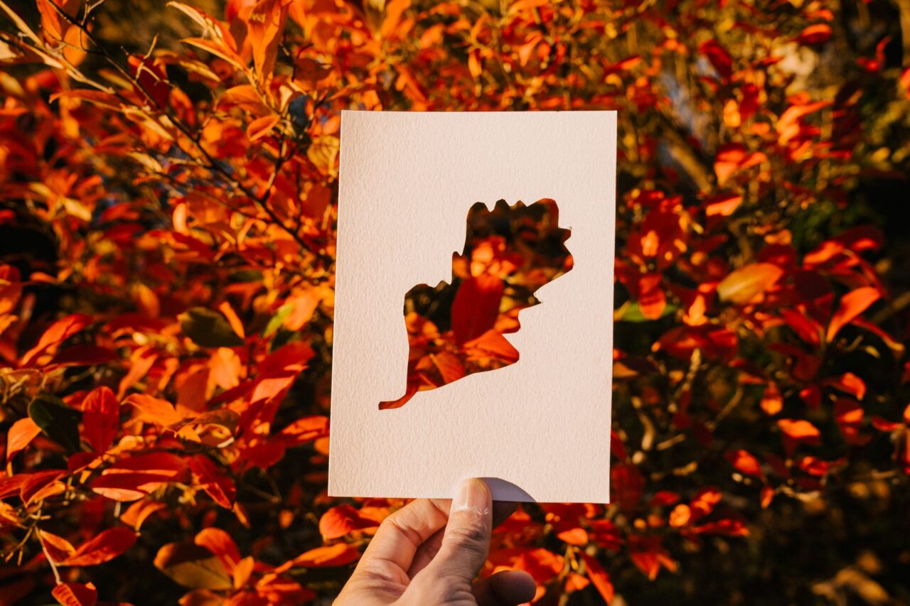 Silhouette Cutting Artist for Events in Singapore