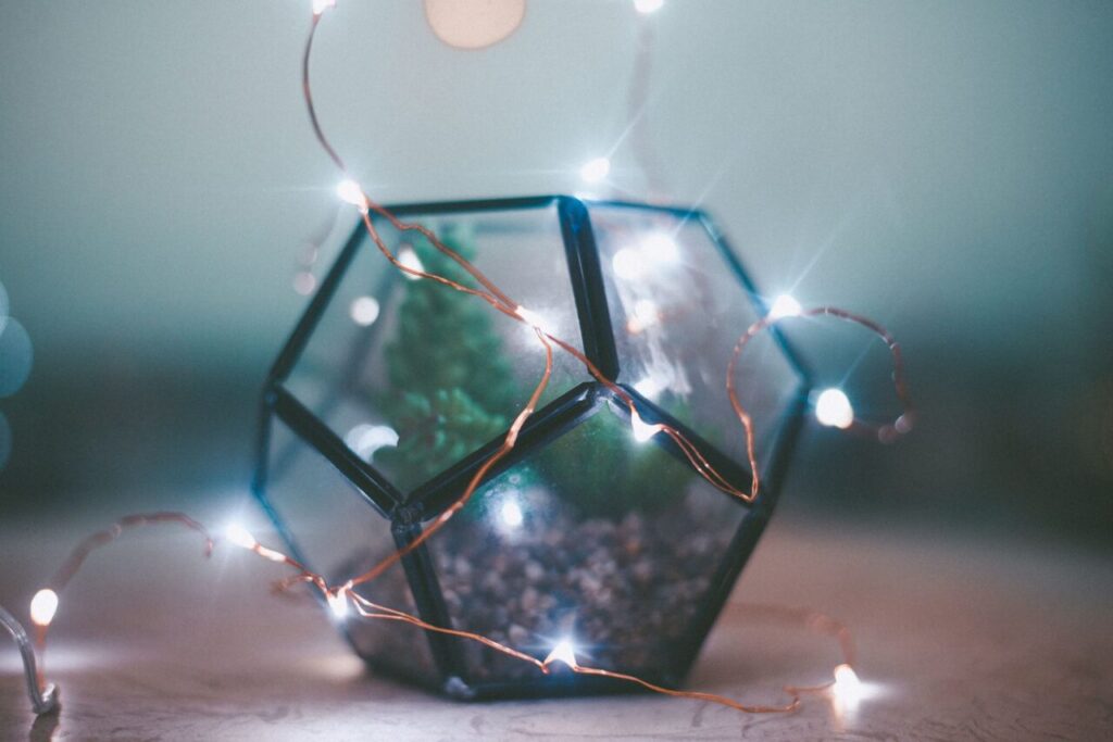 Terrarium Workshop for Corporate Events in Singapore